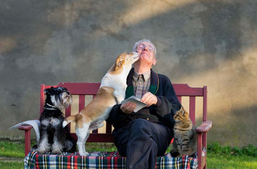 Why Is Owning A Pet Good for Your Heart?
