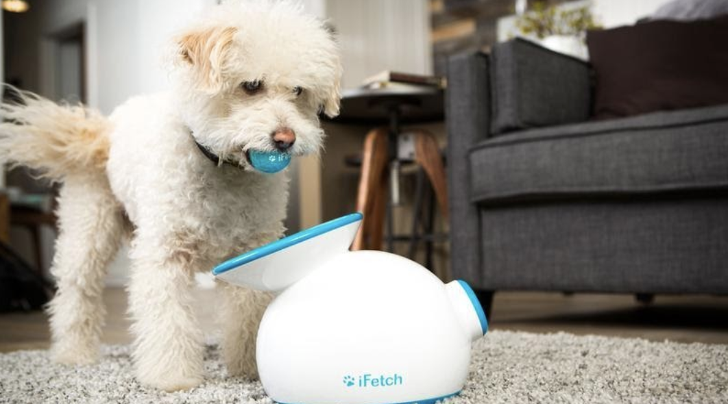 Best tech gadgets for pet owners
