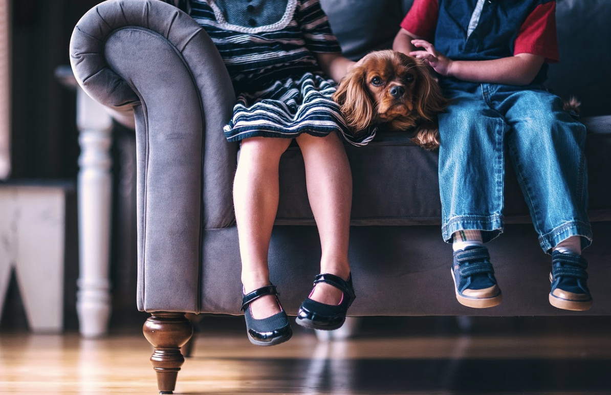 A guide to help your dog and children get along