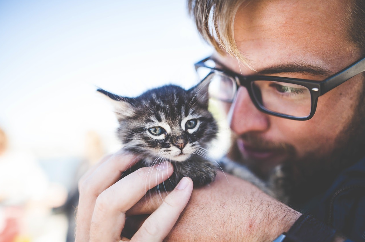 The most common mistake new cat parents make.