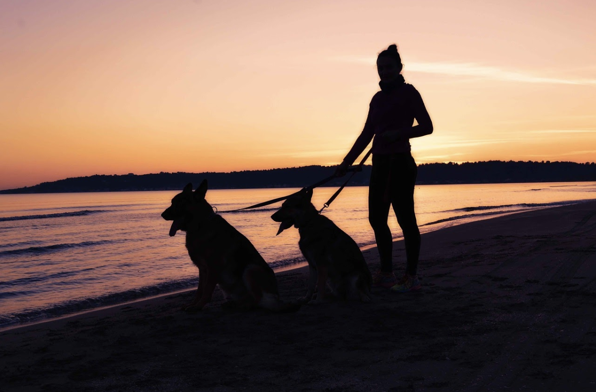 Top New Year resolutions for pet owners