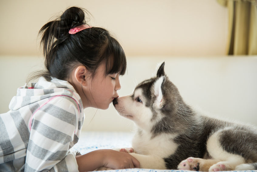 New Puppy Checklist: Everything You Need for Your New Family Member