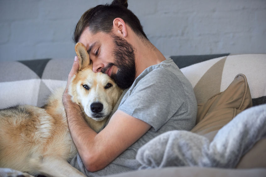 Experts explain how pets react to their owners working from home