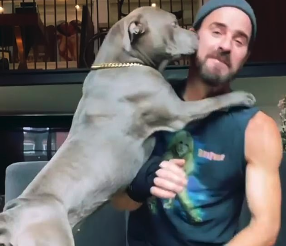 Justin Theroux Enjoys a Sweet Candle-Lit 'Date Night' with His Rescue Dog Kuma