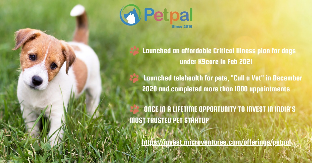 Pets Became Purrfect Pals During Pandemic While Startup Funding Didn’t Lay Down